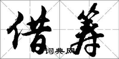 胡問遂借籌行書怎么寫