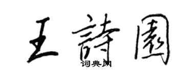 王正良王詩園行書個性簽名怎么寫