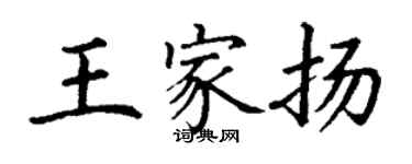 丁謙王家揚楷書個性簽名怎么寫