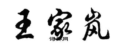 胡問遂王家嵐行書個性簽名怎么寫