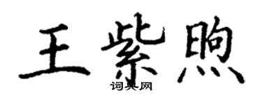 丁謙王紫煦楷書個性簽名怎么寫