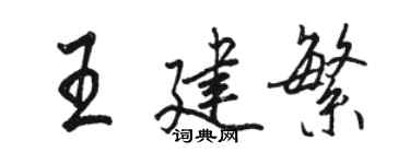駱恆光王建繁行書個性簽名怎么寫