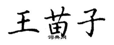 丁謙王苗子楷書個性簽名怎么寫