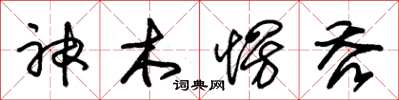 朱錫榮神木愣吞草書怎么寫
