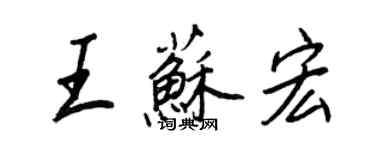 王正良王蘇宏行書個性簽名怎么寫