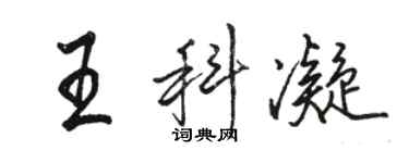 駱恆光王科凝行書個性簽名怎么寫