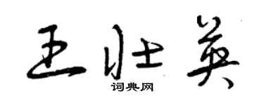 曾慶福王壯英草書個性簽名怎么寫