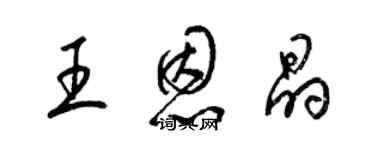 梁錦英王恩晶草書個性簽名怎么寫