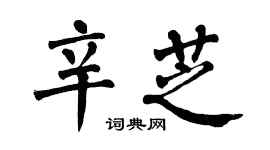 翁闓運辛芝楷書個性簽名怎么寫