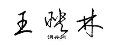 梁錦英王映林草書個性簽名怎么寫