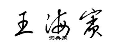 梁錦英王海賓草書個性簽名怎么寫