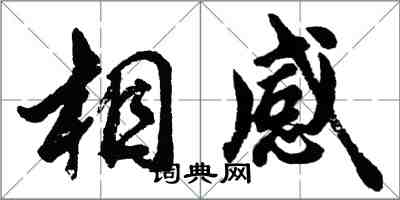 胡問遂相感行書怎么寫