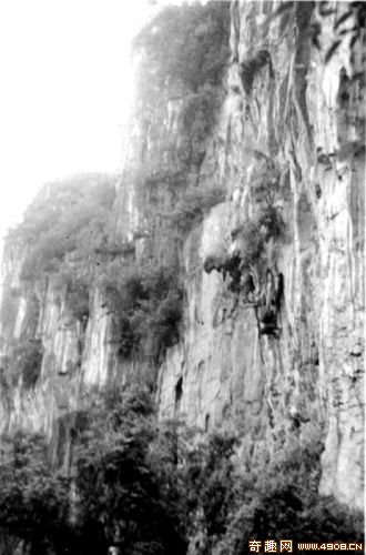 1946年的宜賓懸棺葬千古之謎