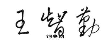 駱恆光王智勤草書個性簽名怎么寫