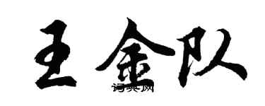 胡問遂王金隊行書個性簽名怎么寫