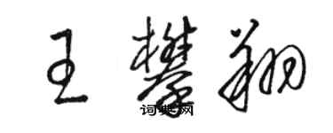 駱恆光王攀翔草書個性簽名怎么寫