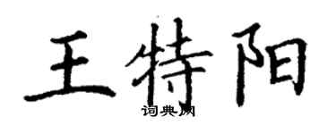 丁謙王特陽楷書個性簽名怎么寫