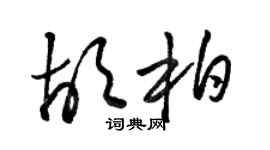 駱恆光胡柏草書個性簽名怎么寫