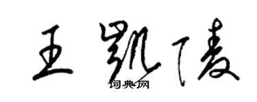 梁錦英王凱陵草書個性簽名怎么寫