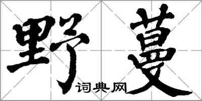 翁闓運野蔓楷書怎么寫
