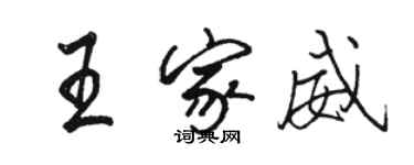 駱恆光王家威行書個性簽名怎么寫