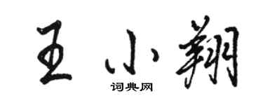 駱恆光王小翔行書個性簽名怎么寫