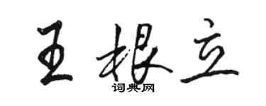 駱恆光王根立行書個性簽名怎么寫