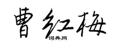 王正良曹紅梅行書個性簽名怎么寫