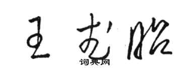 駱恆光王武昭草書個性簽名怎么寫