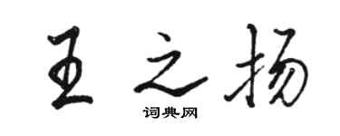 駱恆光王之揚行書個性簽名怎么寫