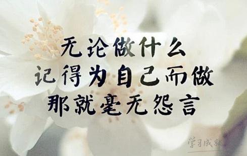 白組詞，白字組詞，帶白字的成語
