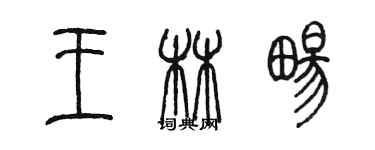 陳墨王林暢篆書個性簽名怎么寫