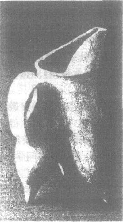 夏文化_夏文化介紹_歷史知識