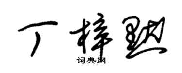 朱錫榮丁梓默草書個性簽名怎么寫