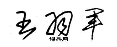 朱錫榮王羽軍草書個性簽名怎么寫