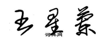 朱錫榮王星蘭草書個性簽名怎么寫