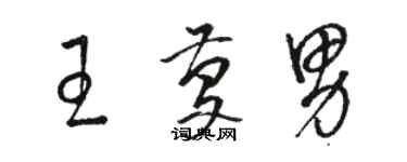 駱恆光王慶男草書個性簽名怎么寫