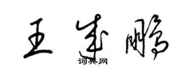 梁錦英王成鵬草書個性簽名怎么寫