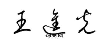 梁錦英王進光草書個性簽名怎么寫