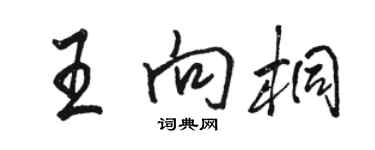 駱恆光王向桐行書個性簽名怎么寫