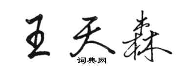 駱恆光王天森行書個性簽名怎么寫