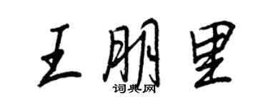 王正良王朋里行書個性簽名怎么寫
