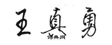 駱恆光王真勇行書個性簽名怎么寫