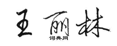 駱恆光王麗林行書個性簽名怎么寫