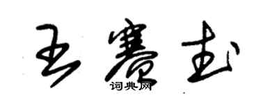 朱錫榮王賽武草書個性簽名怎么寫