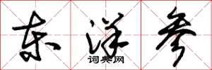 朱錫榮東洋參草書怎么寫