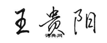 駱恆光王貴陽行書個性簽名怎么寫