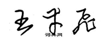 朱錫榮王幸飛草書個性簽名怎么寫