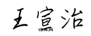 王正良王宣治行書個性簽名怎么寫