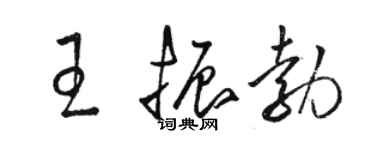 駱恆光王振勃草書個性簽名怎么寫